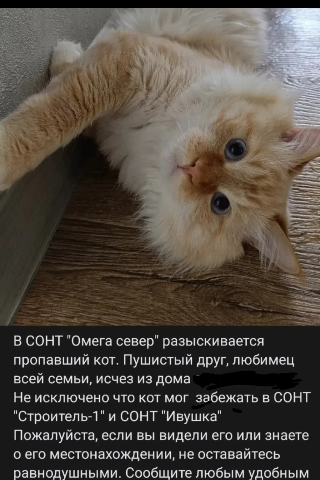 ВНИМАНИЕ! РОЗЫСК!
https://vk.ru/id9165751
89044699781

https://vk.ru/wall-29902752_1537450