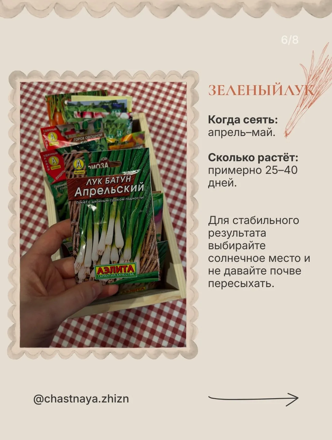 В первый год садоводства особенно хочется увидеть результат🌱   Я абсолютный любитель, но даже у меня