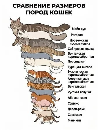 Открытки и поздравления💕