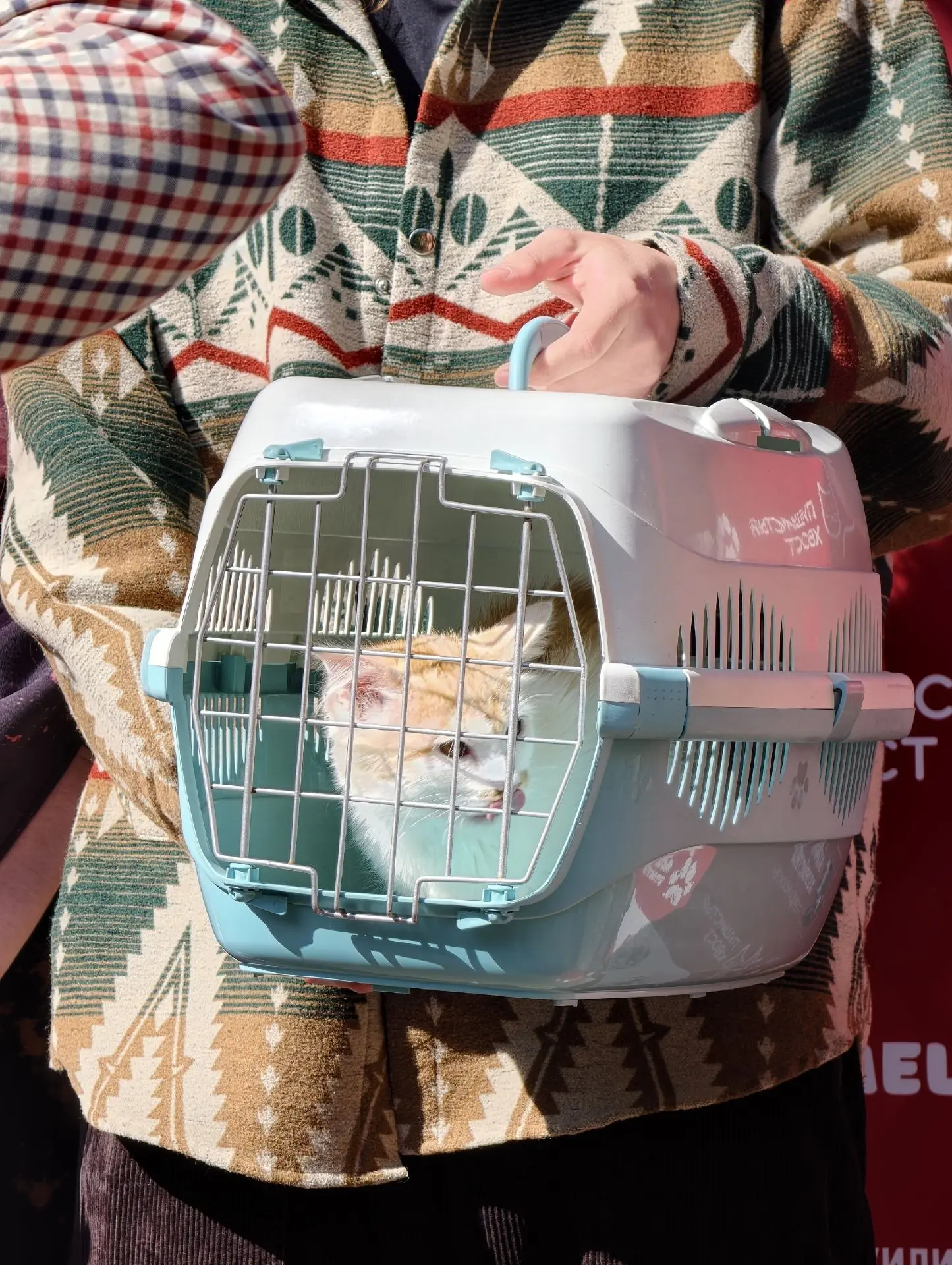 Итоги выставки «Пушистый хвост»: 9 счастливых историй! 🐾🎉