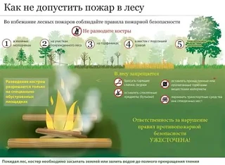 ‼️Причина 90% лесных пожаров — человек  

Даже оставленная на сухой траве стеклянная бутылка или тле
