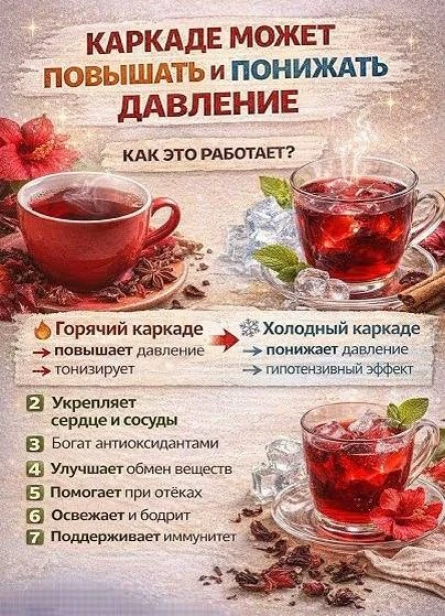 Изображение 1 к публикации «Мой Знахарь»