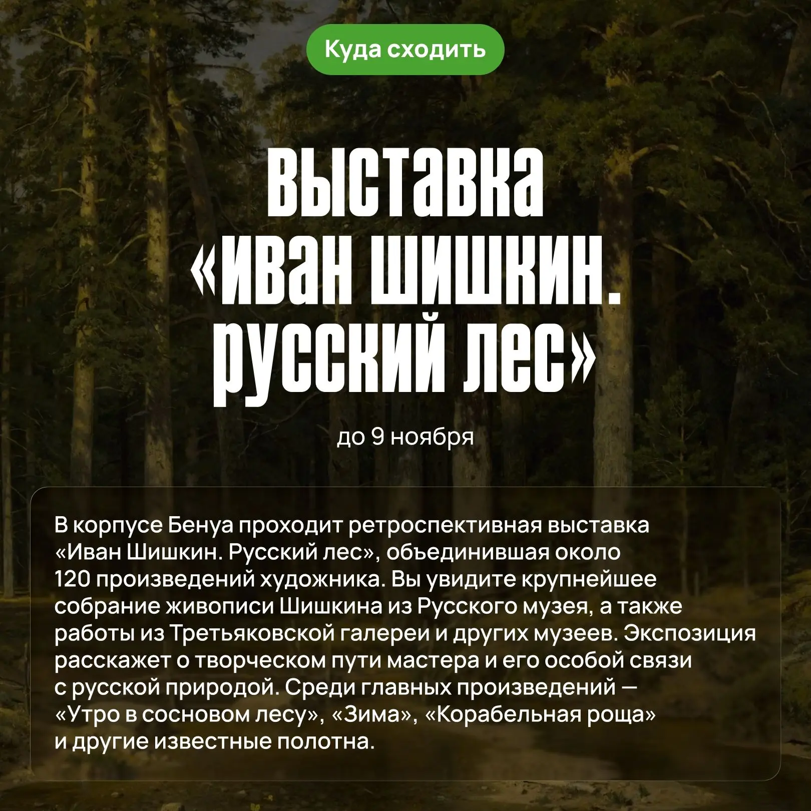 👋 Чем заняться в сентябре? Собрали для вас подборку мероприятий в Петербурге.