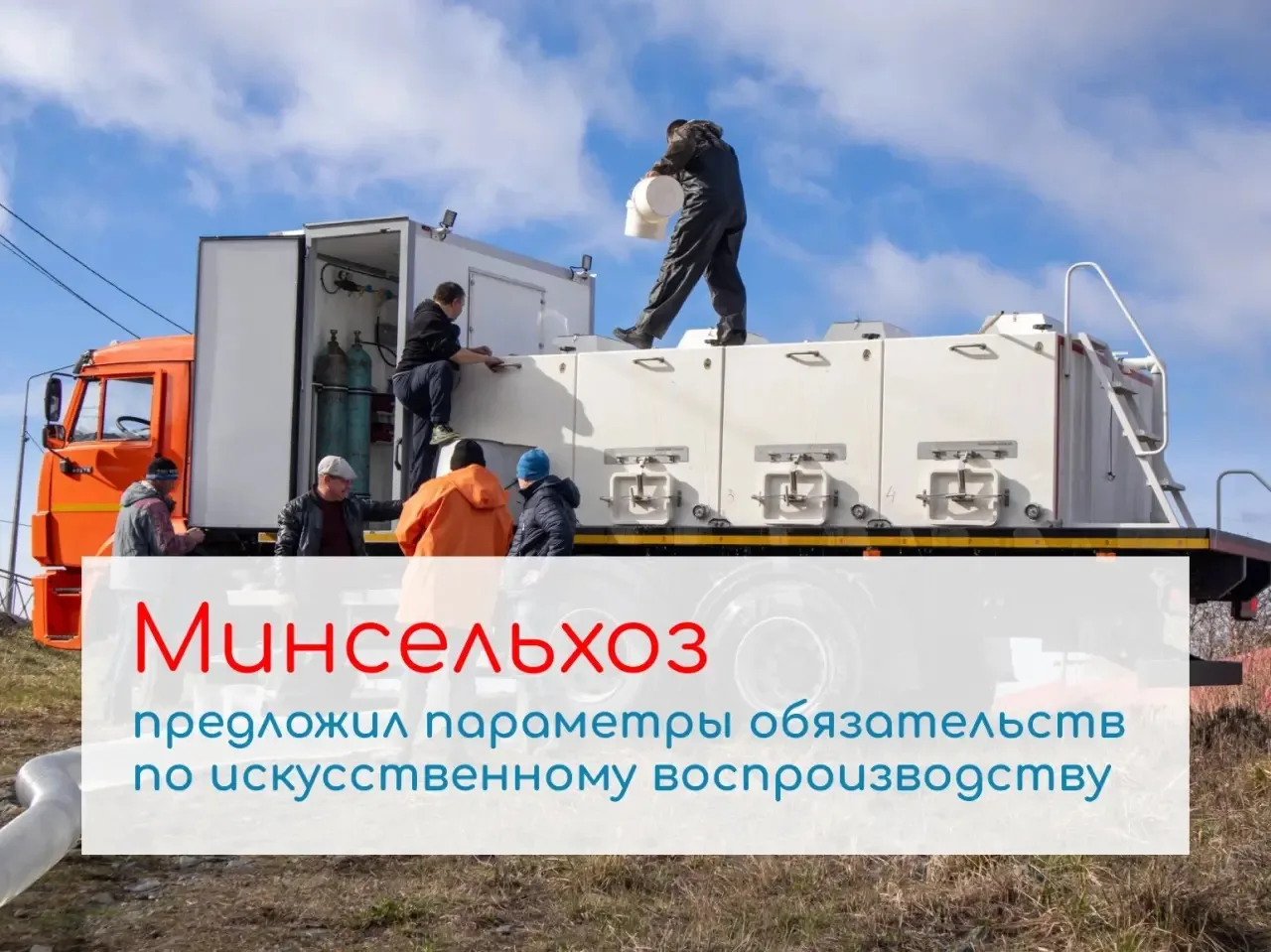 Минсельхоз определил виды и объемы выпуска лососевых для пользователей рыболовных участков
