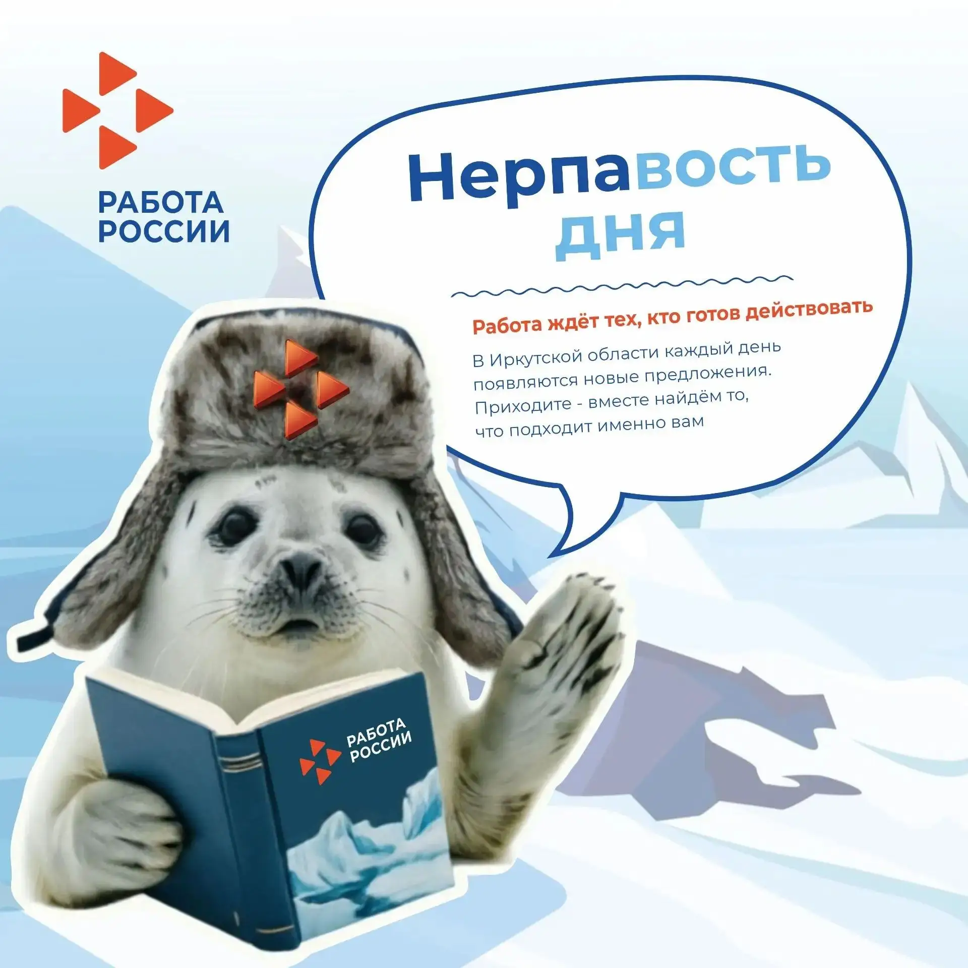Добрый день! ☀️