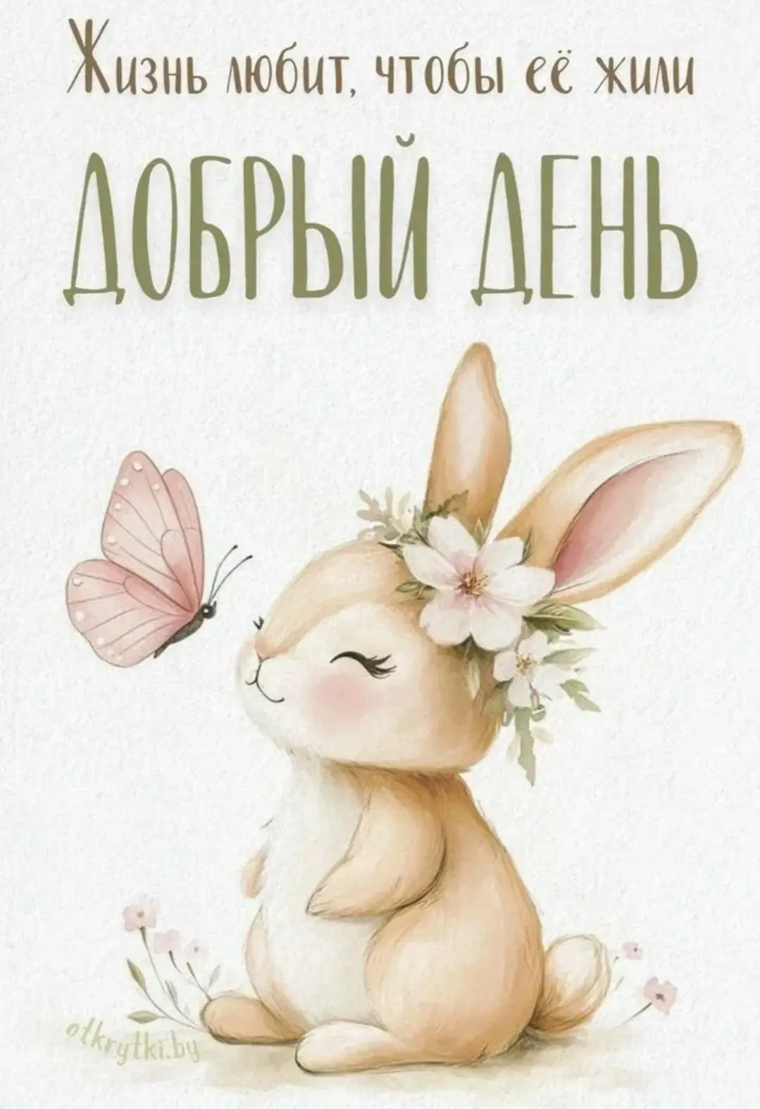🌸🌸Добрый день🌸🌸