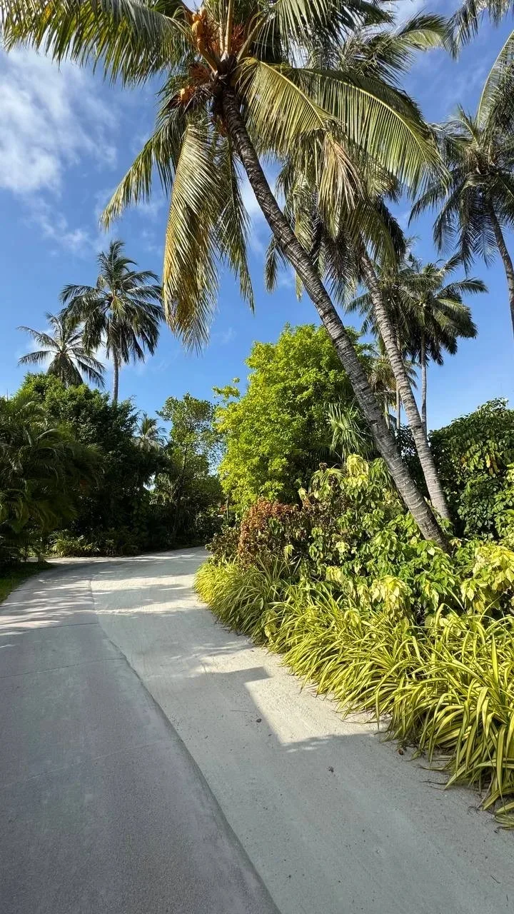 Мальдивы

Kurumba Maldives 5* - это Мальдивы без стресса💫

Всего 10 минут на катере от аэропорта Ма