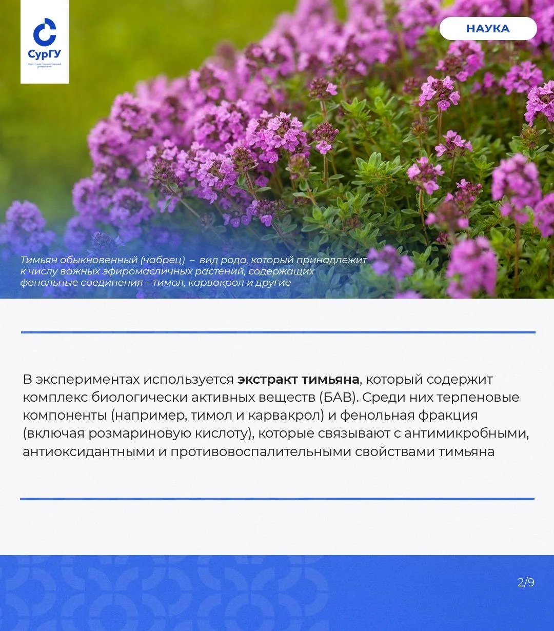 Микрокапсулы для точной медицины: ученые исследуют новые технологии доставки лекарств  Современная м