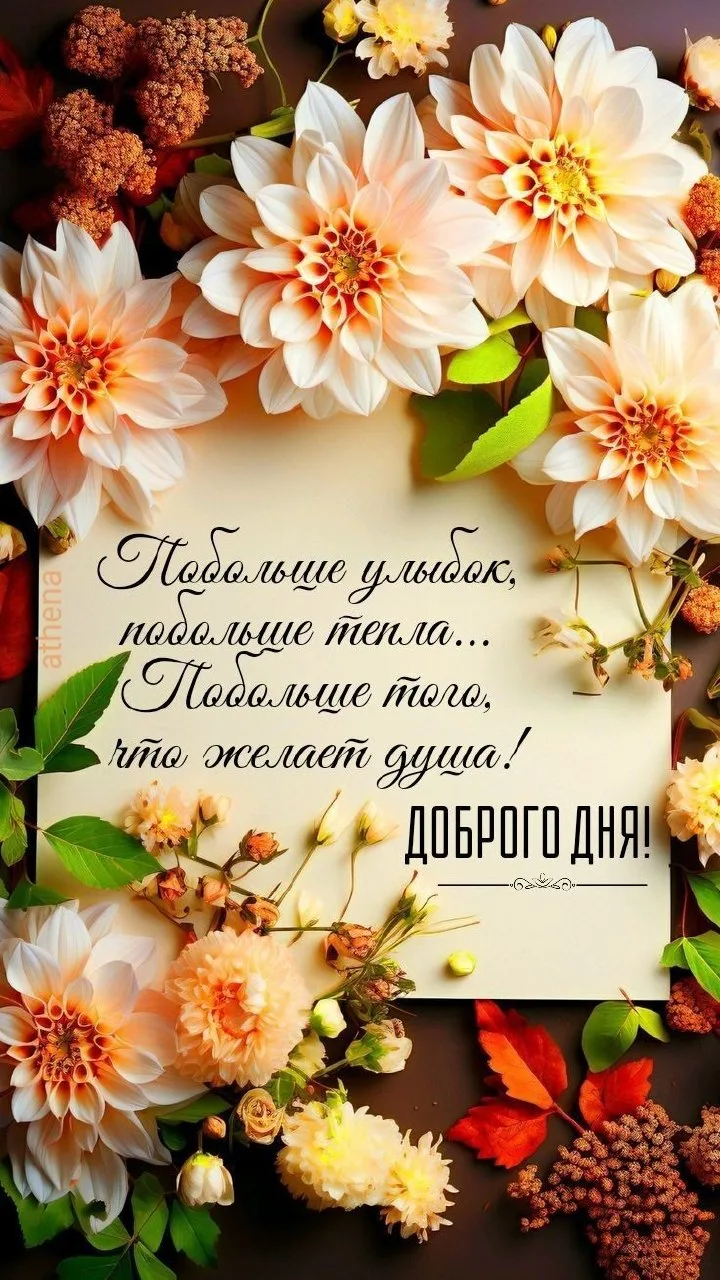 Открытки в ТГ