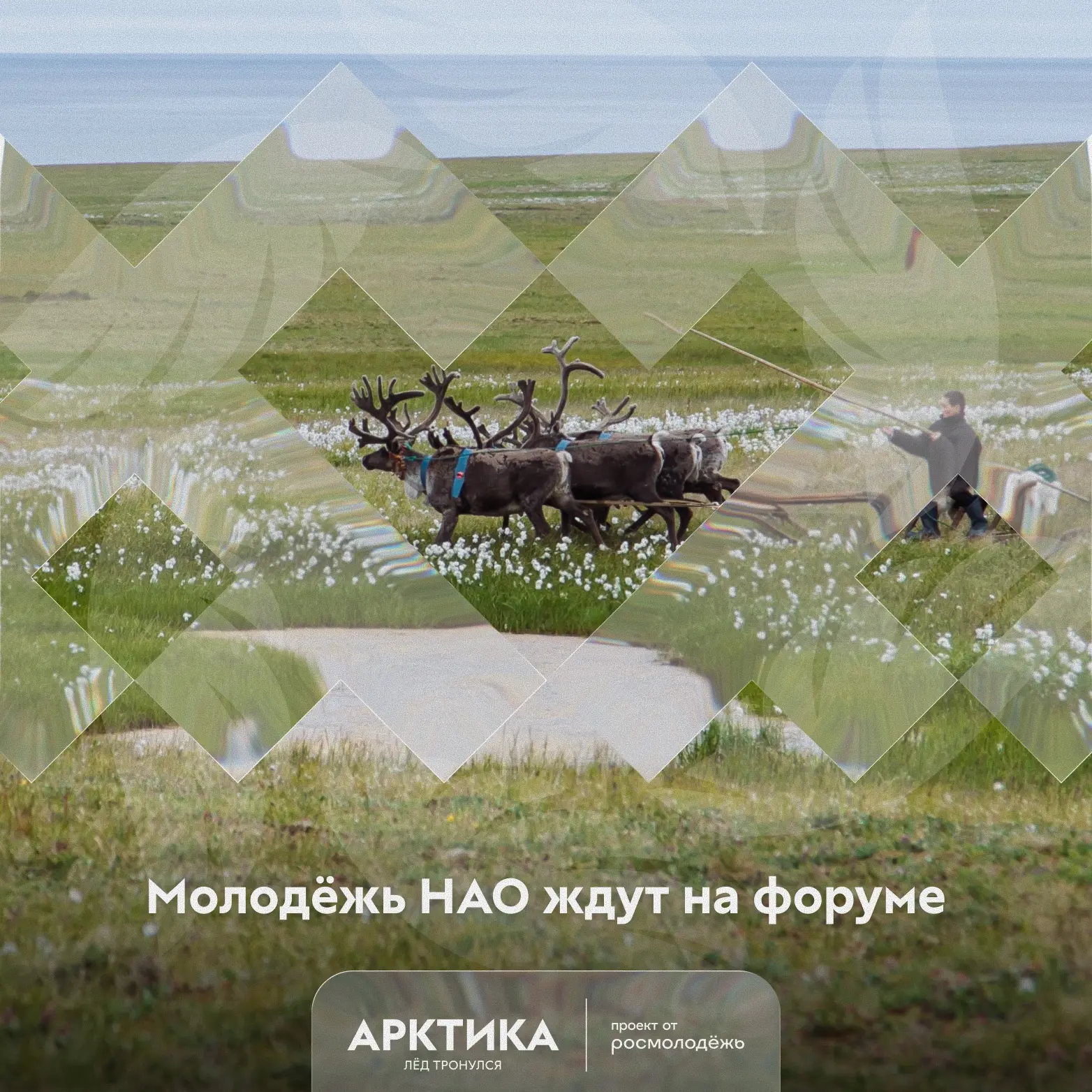 🤫 Секретная рассылка для молодёжи НАО: на форум «Арктика. Лёд тронулся» появилось неск...