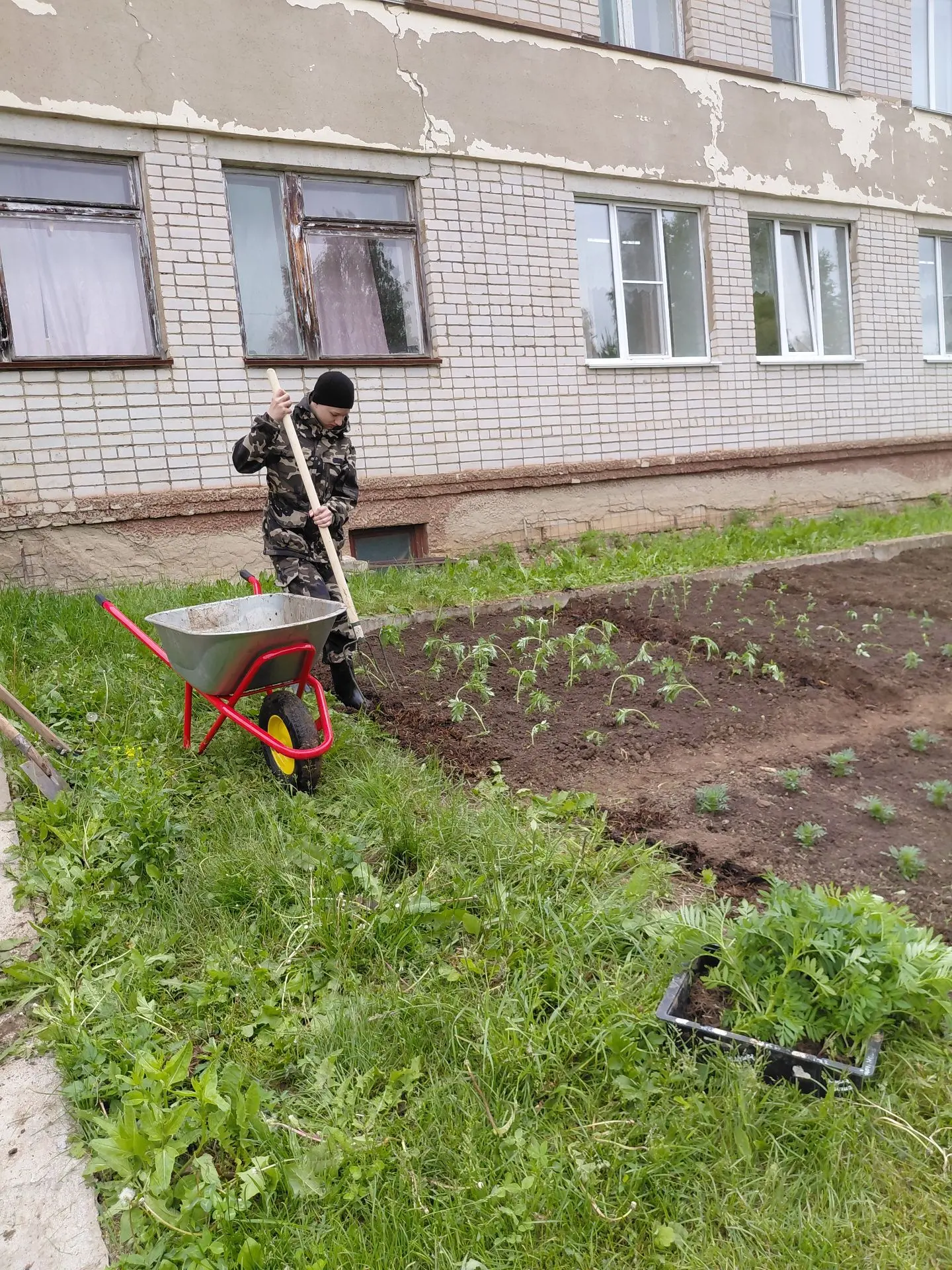 Для школьников лето — это не только пора отдыха, но и время работы на пришкольном участке. Совместны