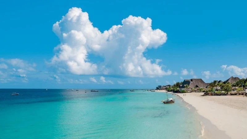 🇹🇿Танзания, Занзибар

Вылет 1 июля 11 ночей
завтрак/ужин

🏨 Malika Hotel 4*
142 332 руб/чел

🏨 B