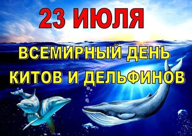 23 июля- Международный день китов🐳 и дельфинов🐬На группе Кораблик🚢 ребята с педагога...