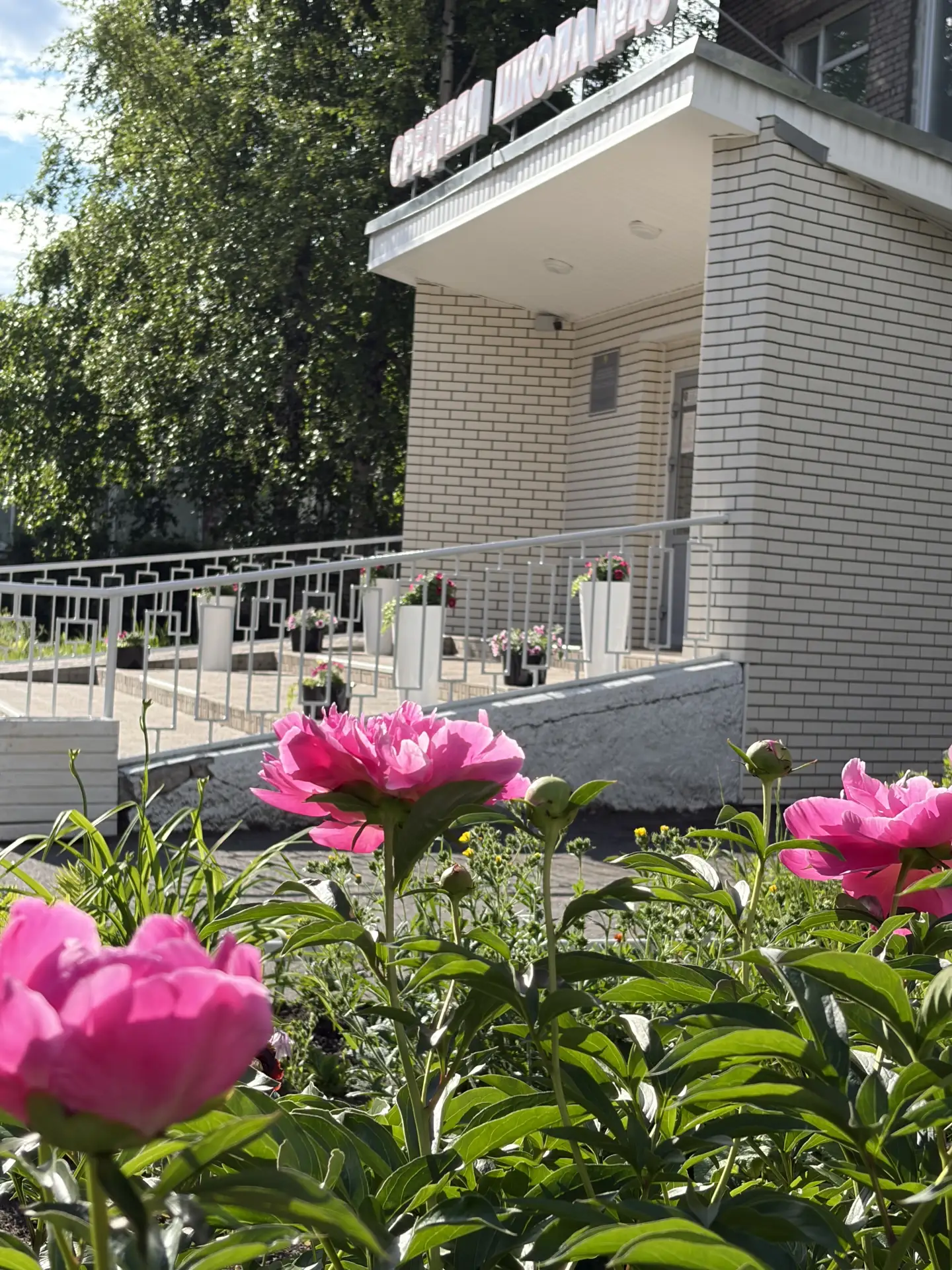 🌸🌹🌺🌷🥀🌼   Продолжаем наблюдать ,  как расцветает территория школы👍. Радуют своей красотой  хос