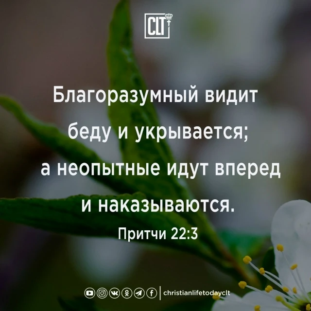 Мудрость и благоразумие хранят нас от ошибок и страданий. Пусть твое сердце всегда ищет...