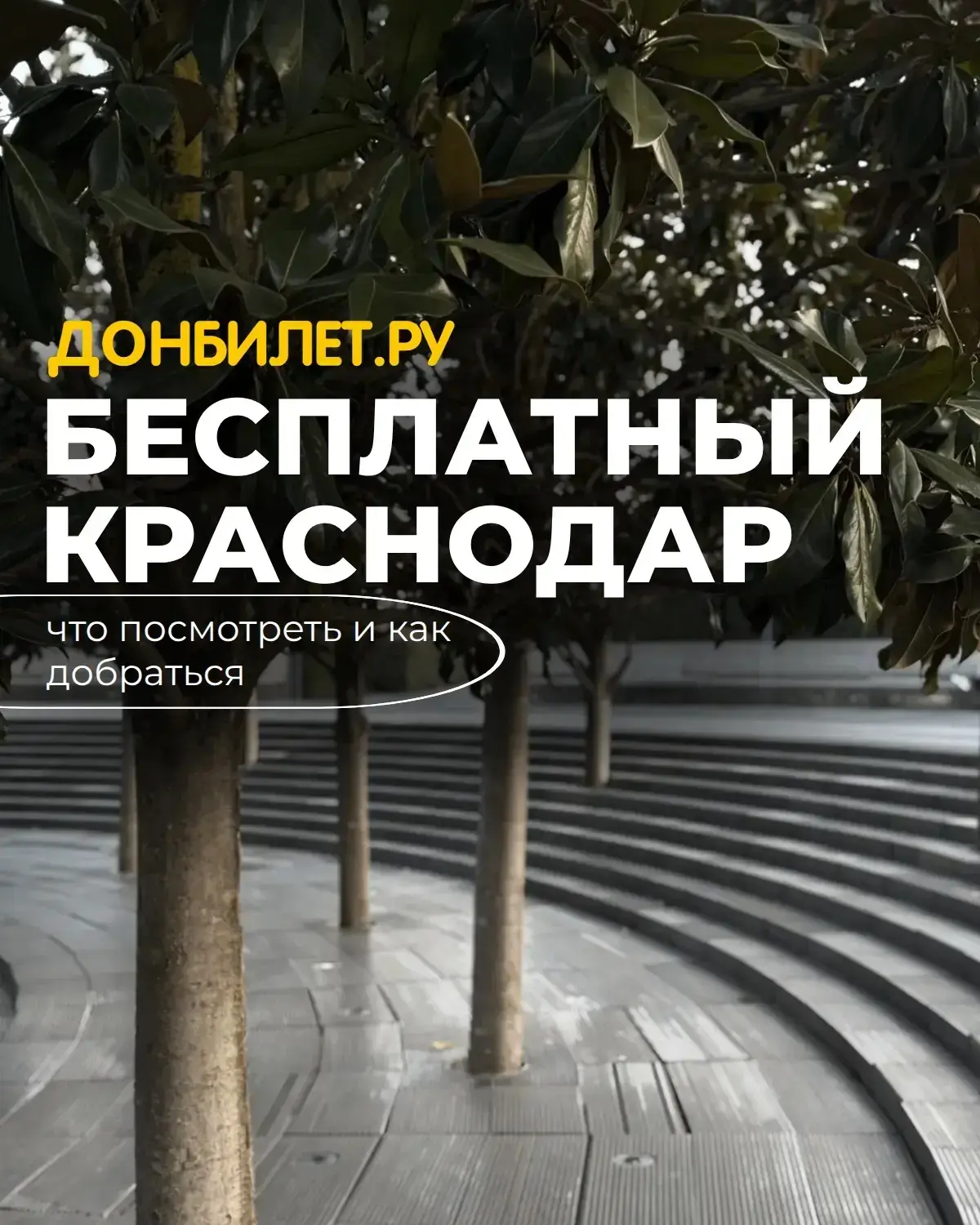 Бесплатный Краснодар🤩