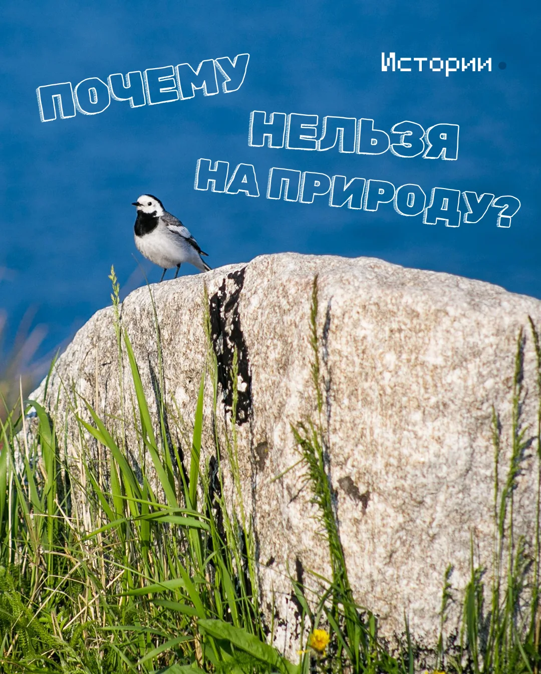 Каждый год с наступлением весны и теплой погоды в Иркутской области вводят ограничения ...