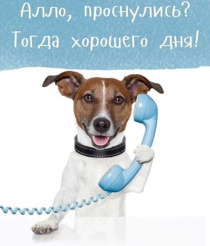 С добрым утром!