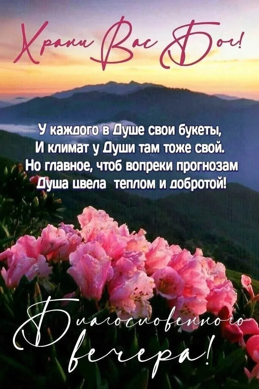 Благословенного вечера! Храни Вас Бог!