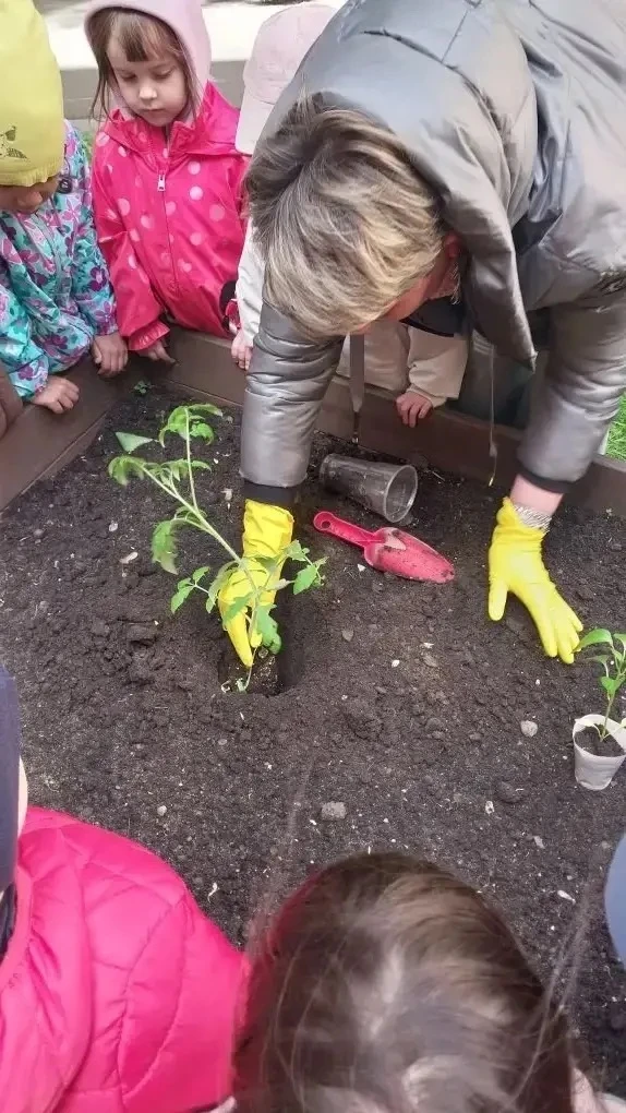🌱 Юные огородники за работой  В дошкольном отделении прошёл «День посадок». Вместе с воспитателями р