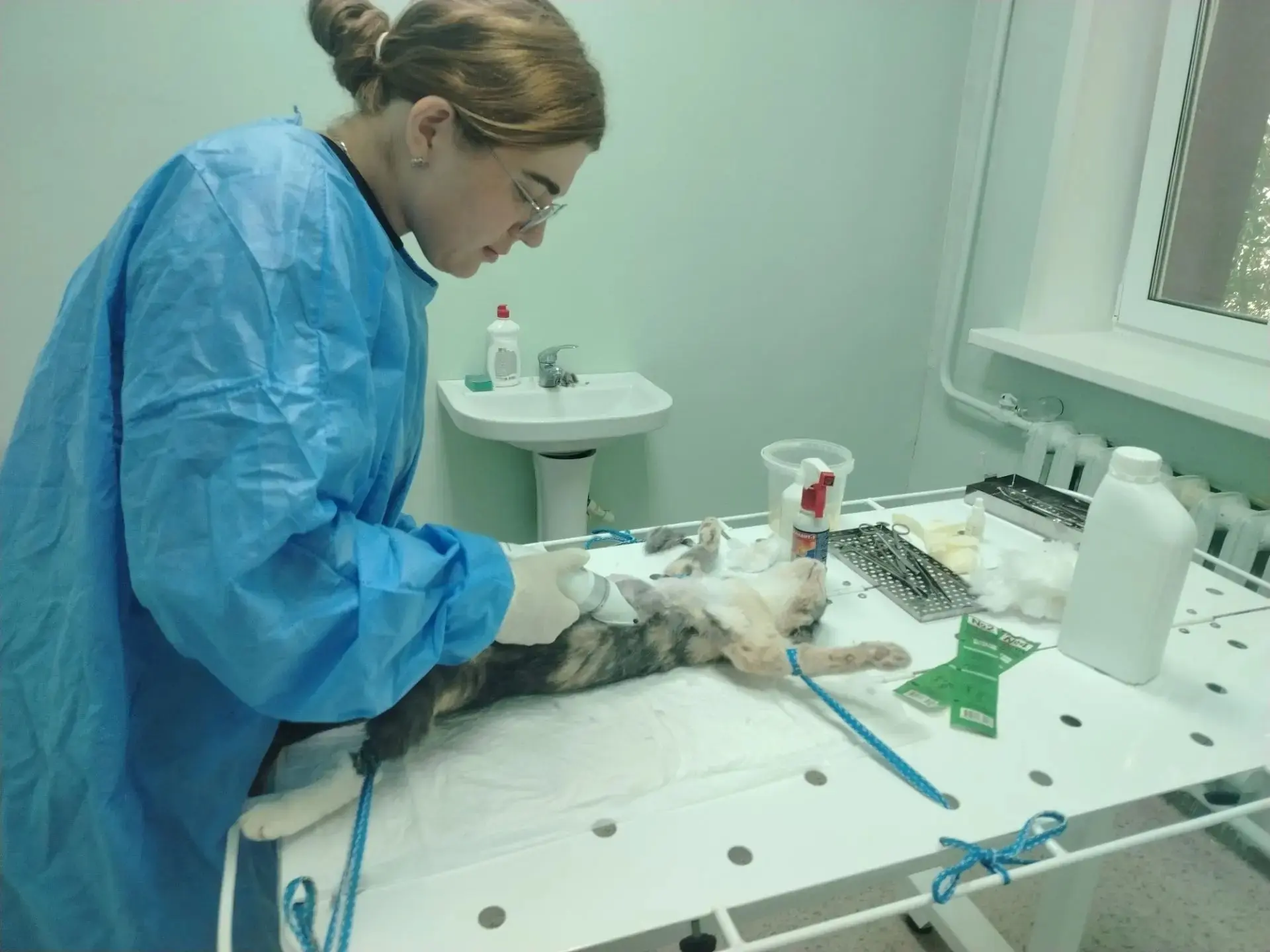 В Озинскую ветеринарную станцию обратились хозяйка кошки по имени Лариса. У животного н...