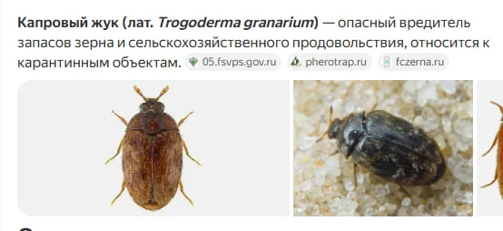 Так выглядит агрессор против армянской экономики.