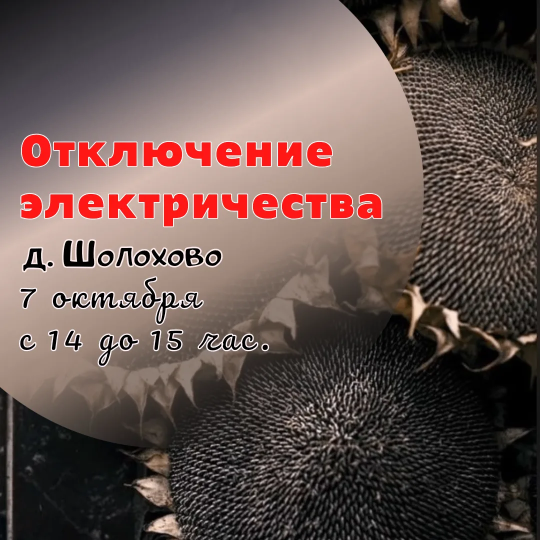 Внимание!