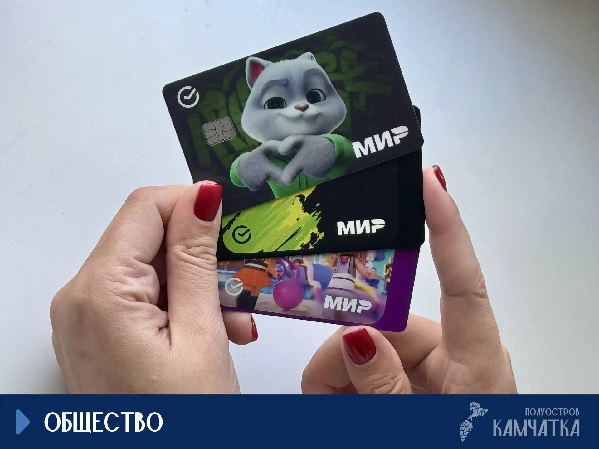 Спрос на оплату по QR-коду вырос на Камчатке