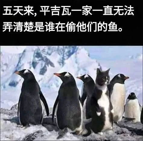📚 Перевод:
Пингивы пятый день не могут понять кто у них крадёт рыбу

🇨🇳 Путешествие в Китайский я