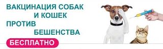 Уважаемые жители Грузинского сельского поселения Торжокского района!