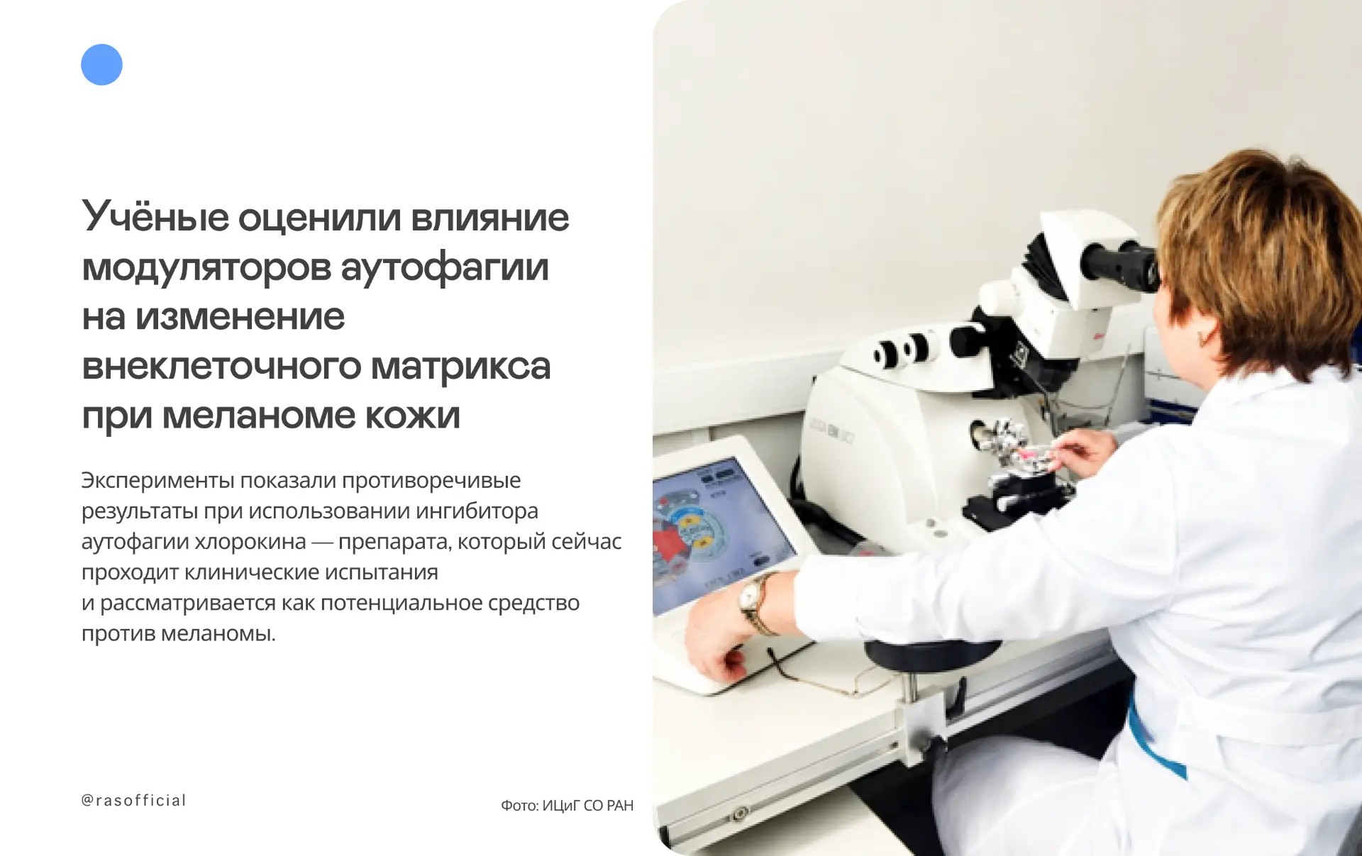 Как аутофагия влияет на меланому