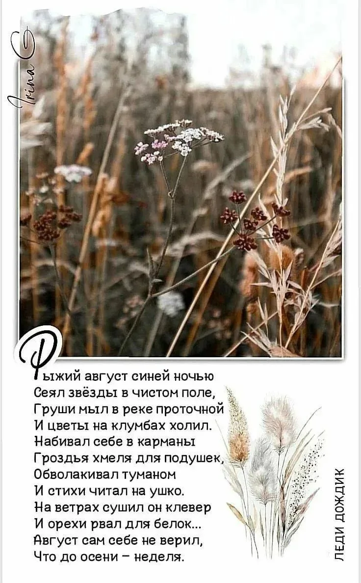 Доброе утро, дорогие наши подписчики! 😙🤗😍