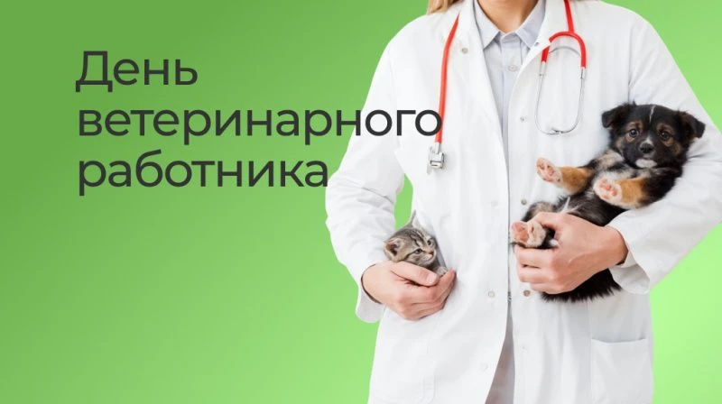 Управление Россельхознадзора по республикам Хакасия и Тыва поздравляет с профессиональн...