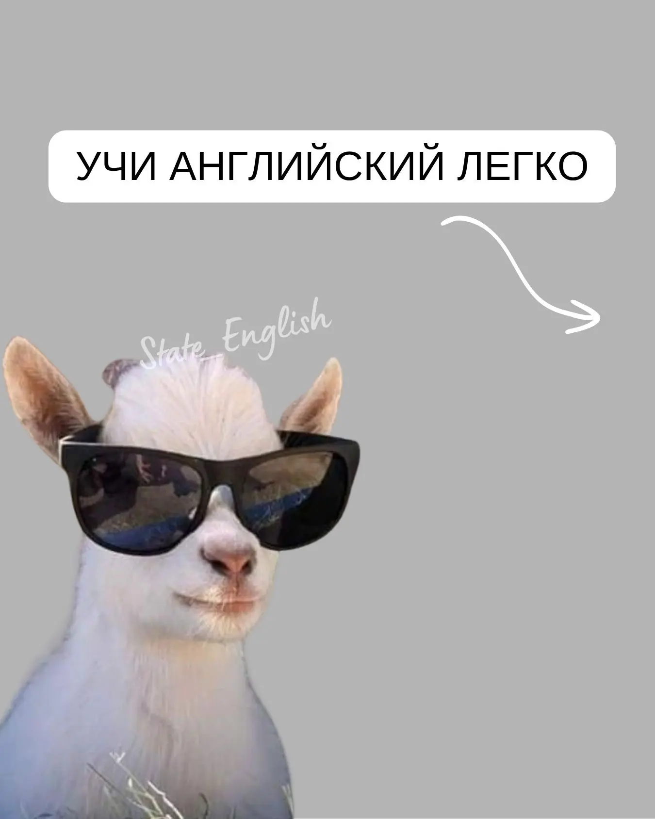 Ваши 👍🏼 это наша мотивация!