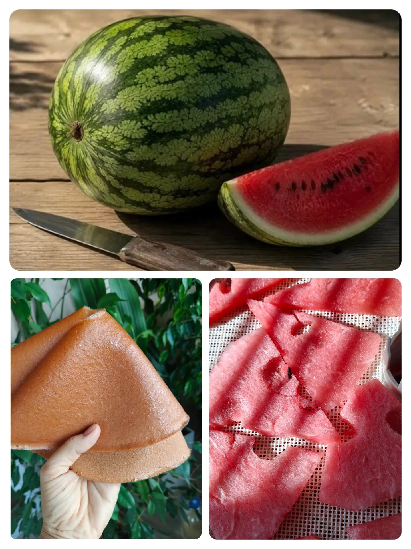🍂 Вот и осень пришла… А значит — пора запасаться арбузом! 🍉