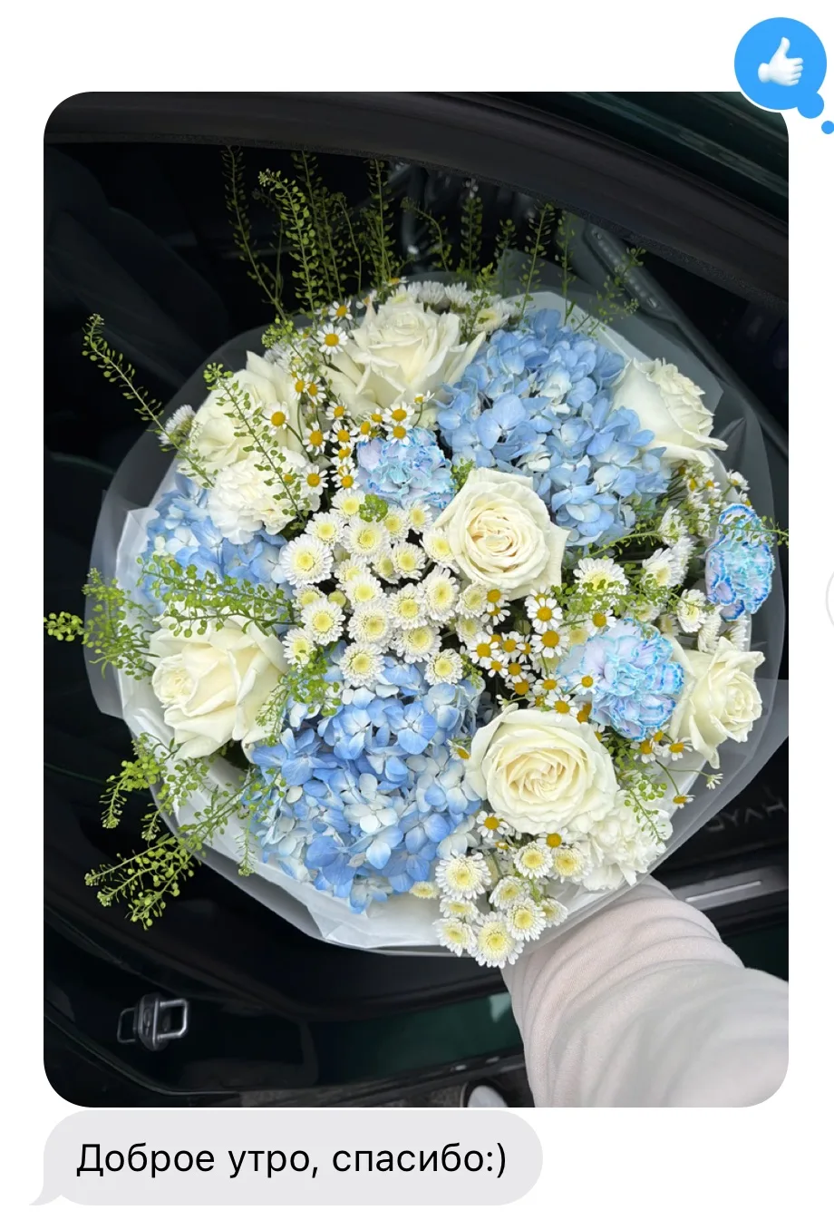 🎂 Мария Савельева
🎈Airbubbles