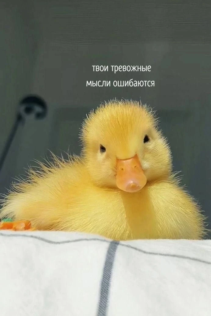 Маткапитал‑2026: 73% семей теряют деньги. А вы нет 🔽