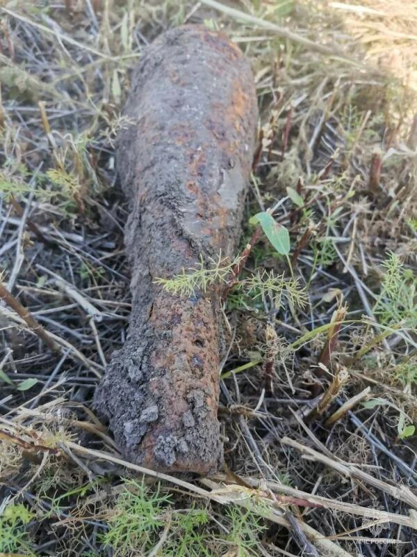 ❗️В минувшую субботу в селе Мясоедово Белгородского округа нашли мину времён Великой Отечественной в