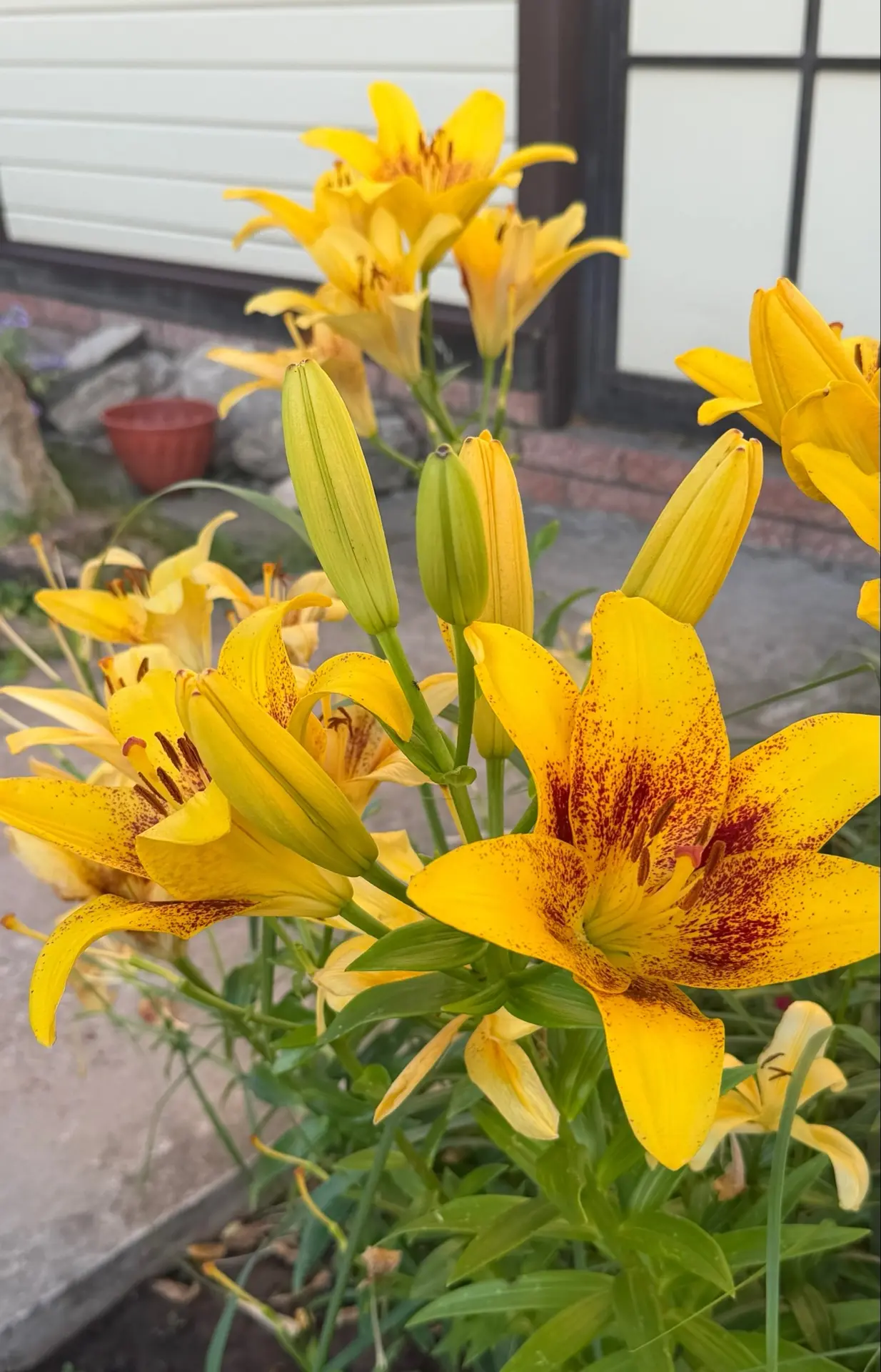 Хәерле иртәләр, дусларыбыз 🌷
Яңа атналар белән сезне❤️

-Юлларыгыз уңсын,
-ниятләгән эшләрегез бары