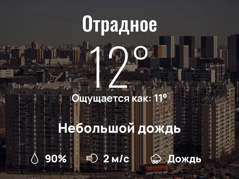 Что с погодой в Отрадном?