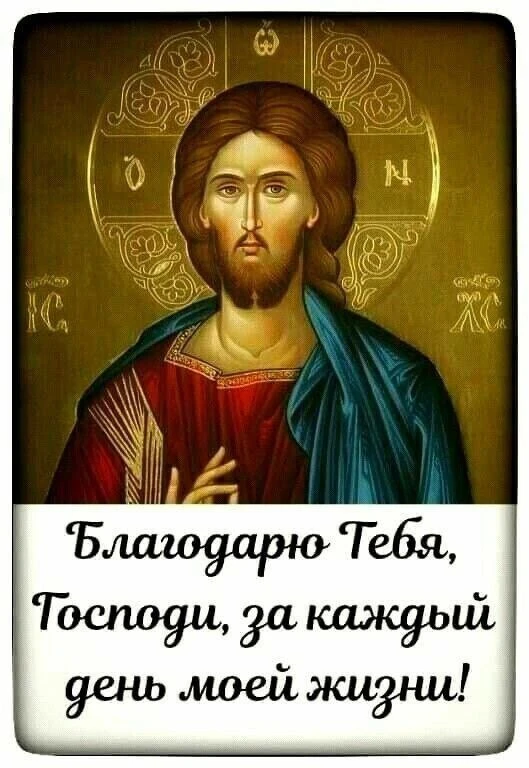 У меня маленький ребенок, у него диагноз СДВГ. Малыш очень беспокойный. Я никогда не ус...