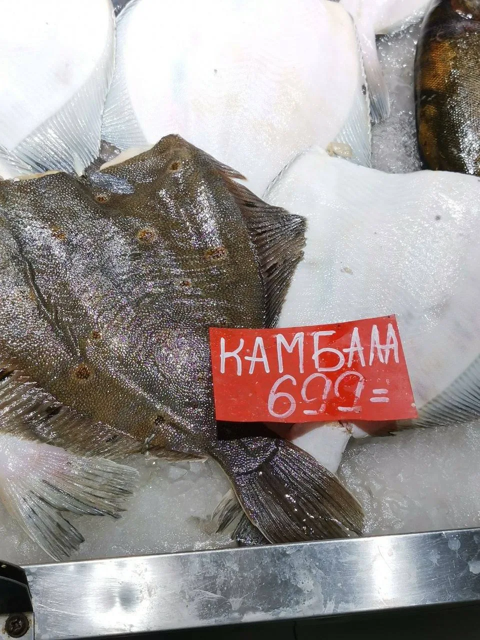 🐟 Почём мурманская рыба в Петербурге?

Подписчики Nord-News изучили цены на Стародеревенском рынке 