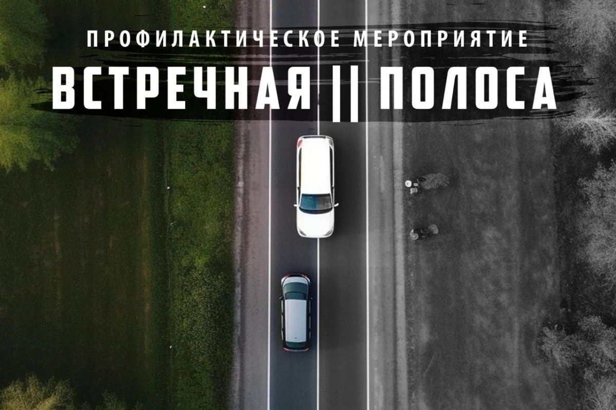 В Елабужском районе подвели итоги профилактического мероприятия «Встречная полоса»

В Елабужском рай