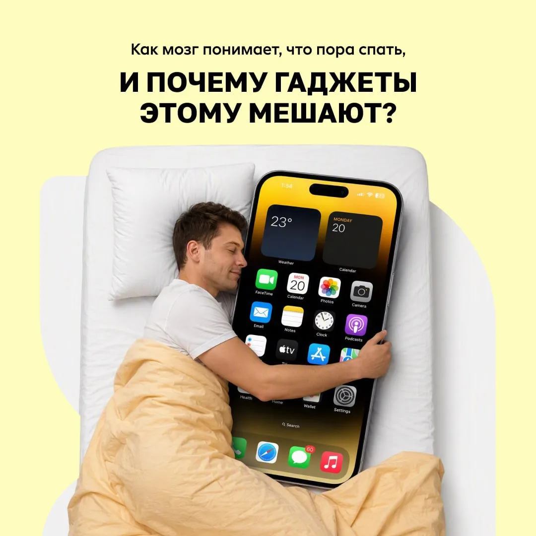 Как мозг отправляет нас отдыхать 💤