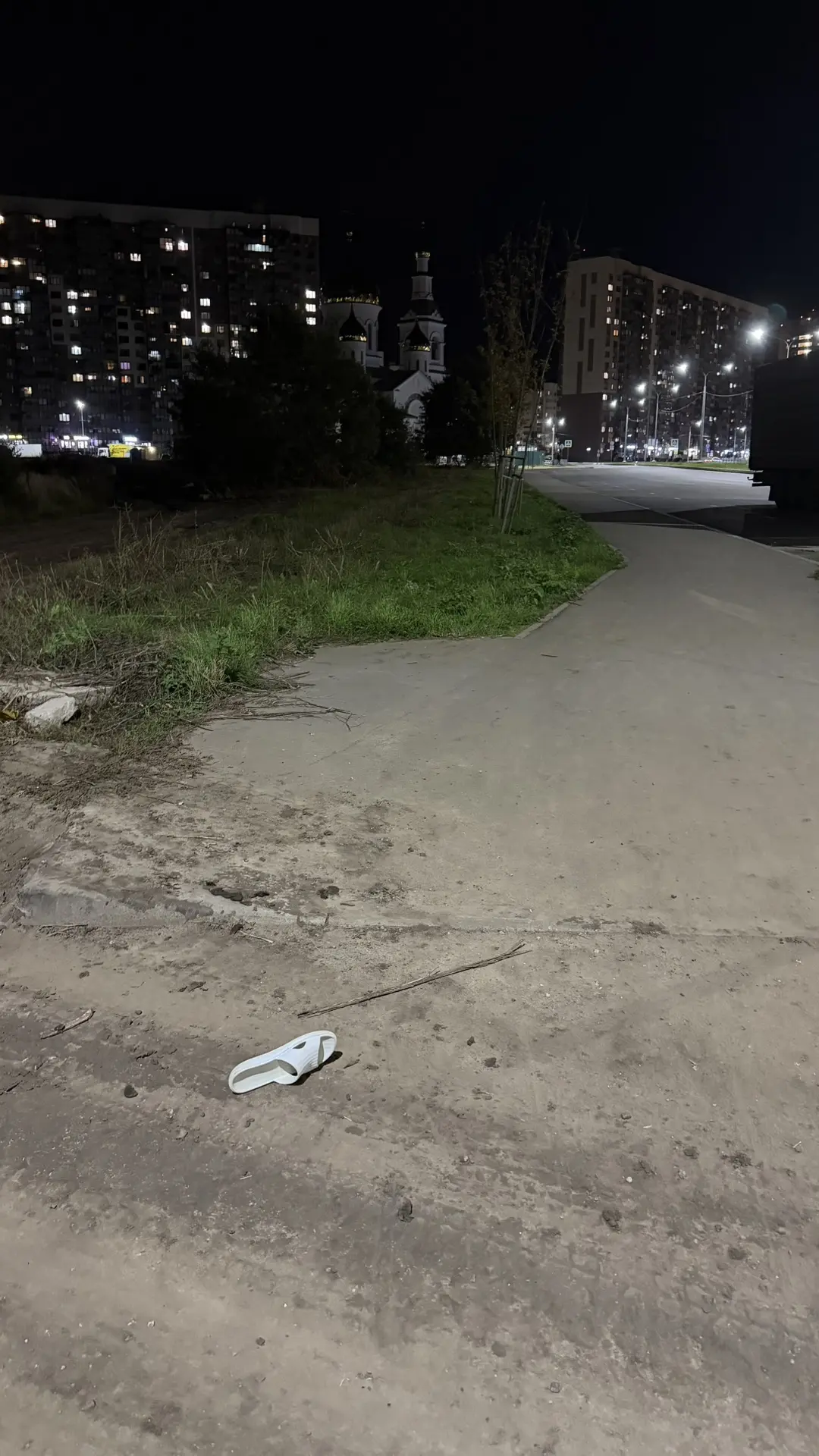 Кто то потерял сланец, предполагаю, что ребенок с бассейна лежал и выронил. На фото вид...