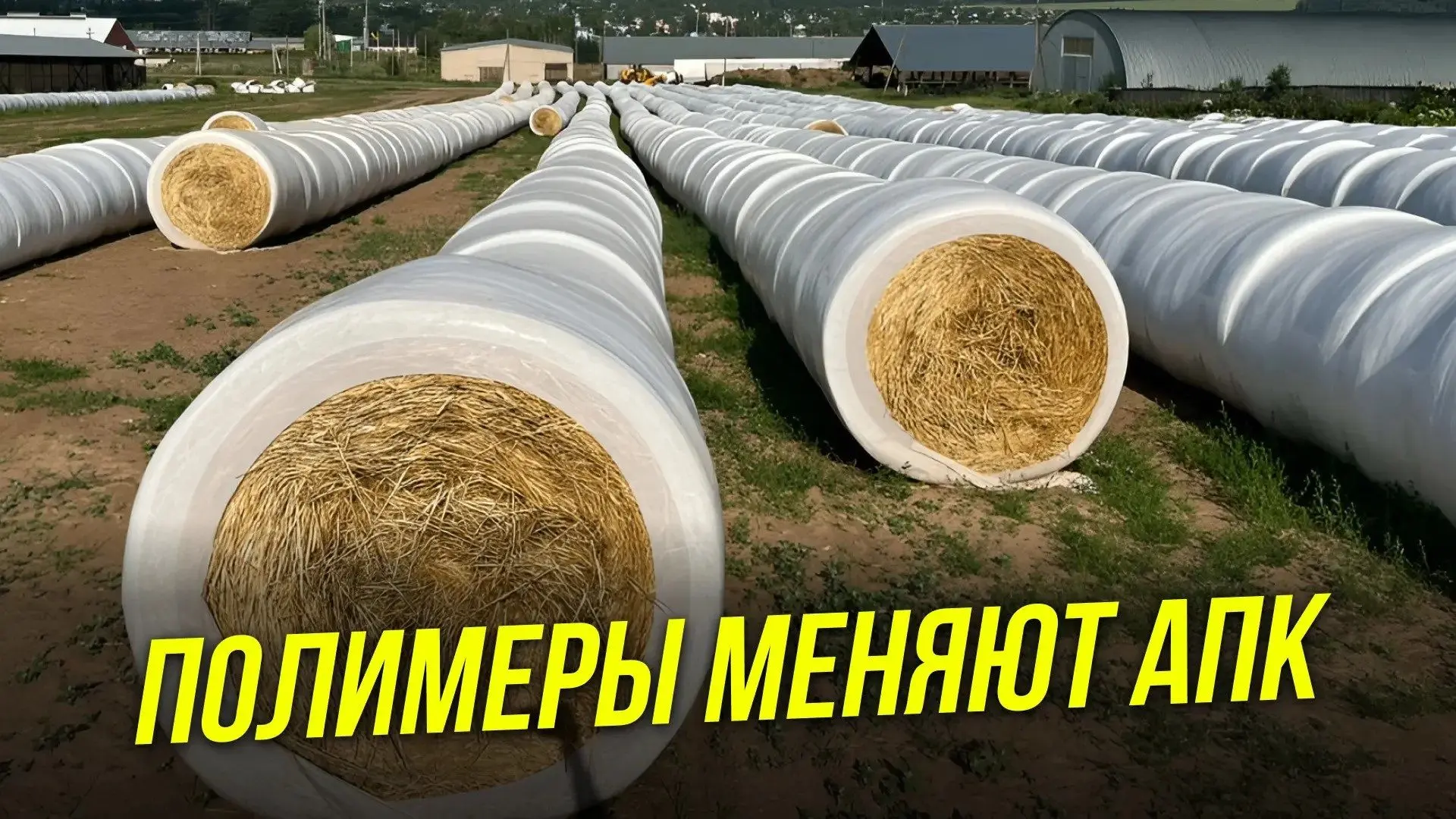 Как сократить расход воды, повысить урожайность и сохранить зерно и корма без потери ка...