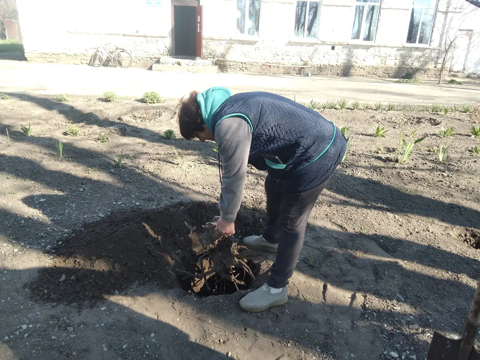 Активисты села Сергеевка высадили саженцы в сельском парке  Перед весенними праздниками активисты ме