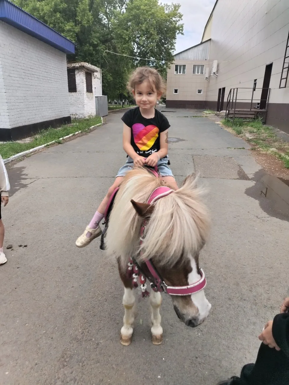 📸 Выбираем победителей фотоконкурса «Лето в Оренбуржье»