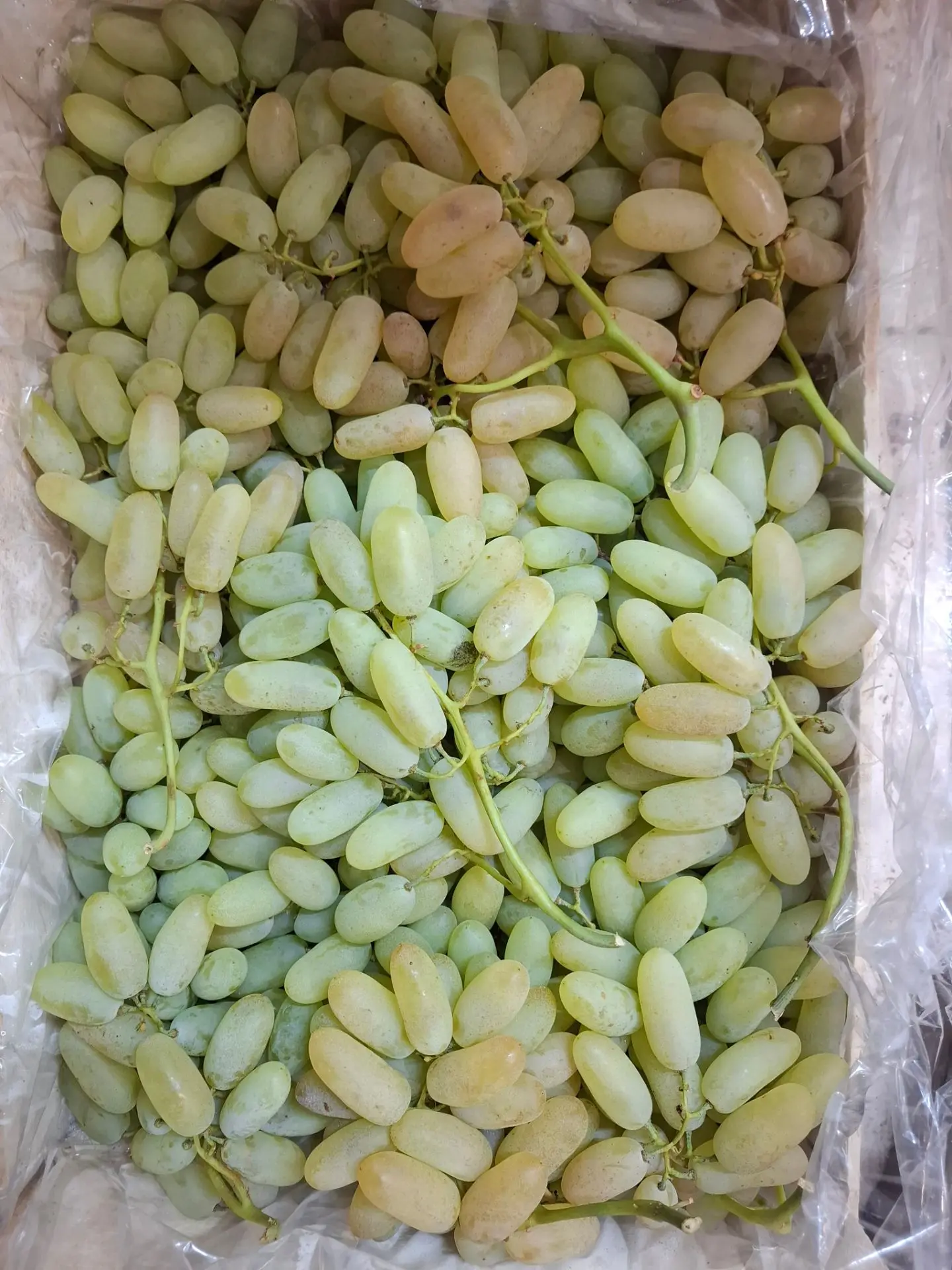 🍇Куда же без винограда. В наличии Донковцева  и Глазунова