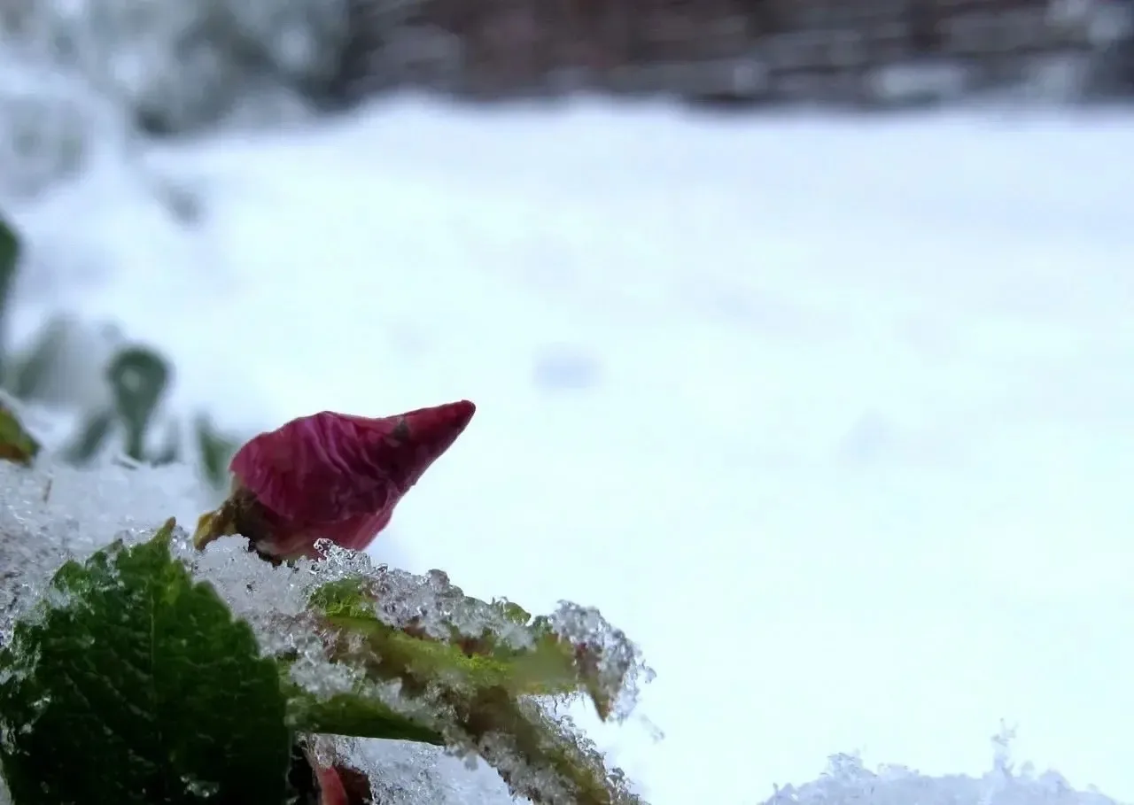 На Таганае лежат сугробы 25 см в высоту ❄️